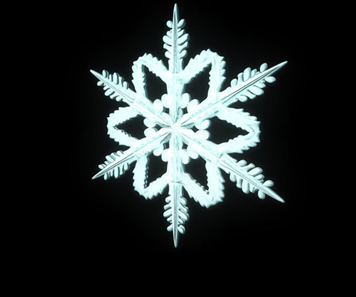 Snowflake